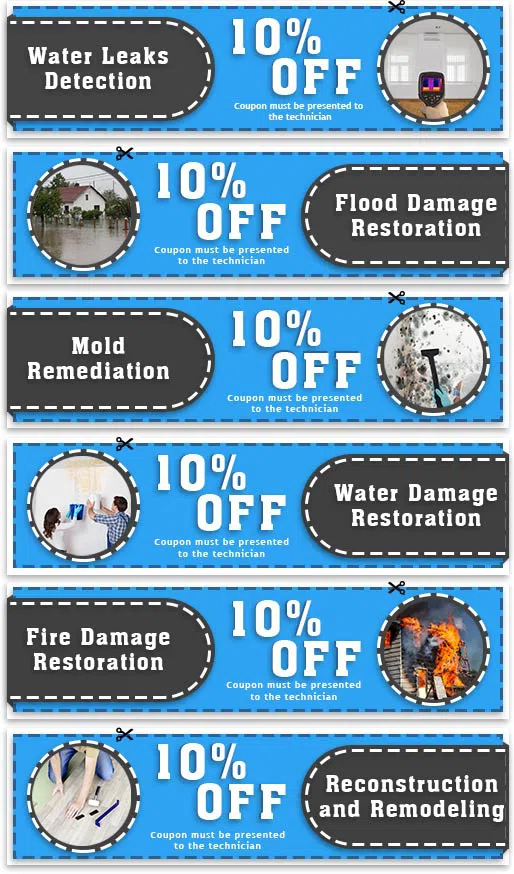Hollywood Restoration Expert Hollywood, FL 954-414-0630 - set-2